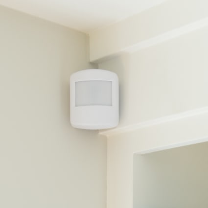 Raleigh motion sensor